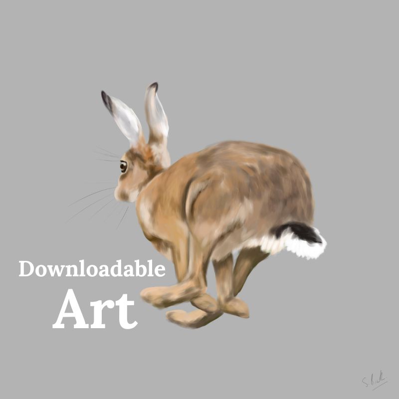 Running Hare - Downloadable Art - sarahbrabbin