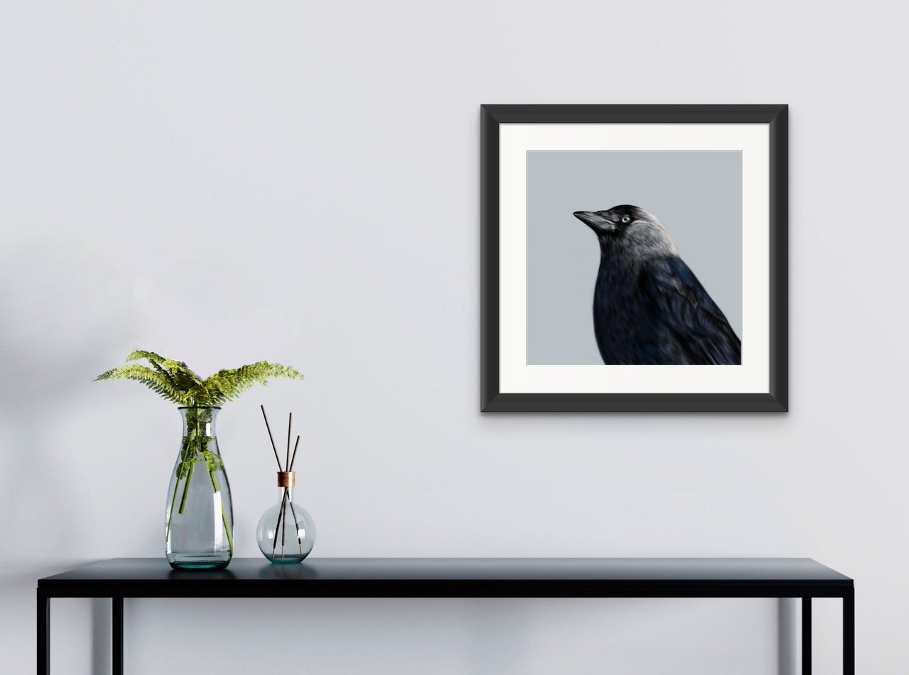 Jackdaw - Downloadable Art - sarahbrabbin