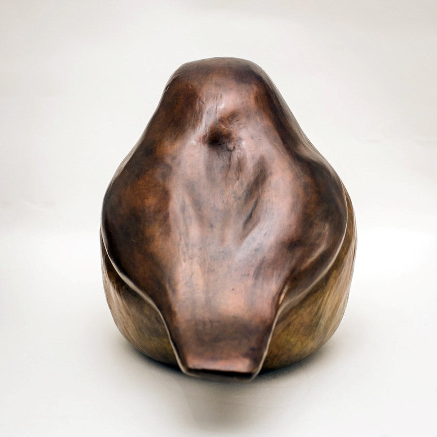 Large Bronze Robin Sculpture - sarahbrabbin