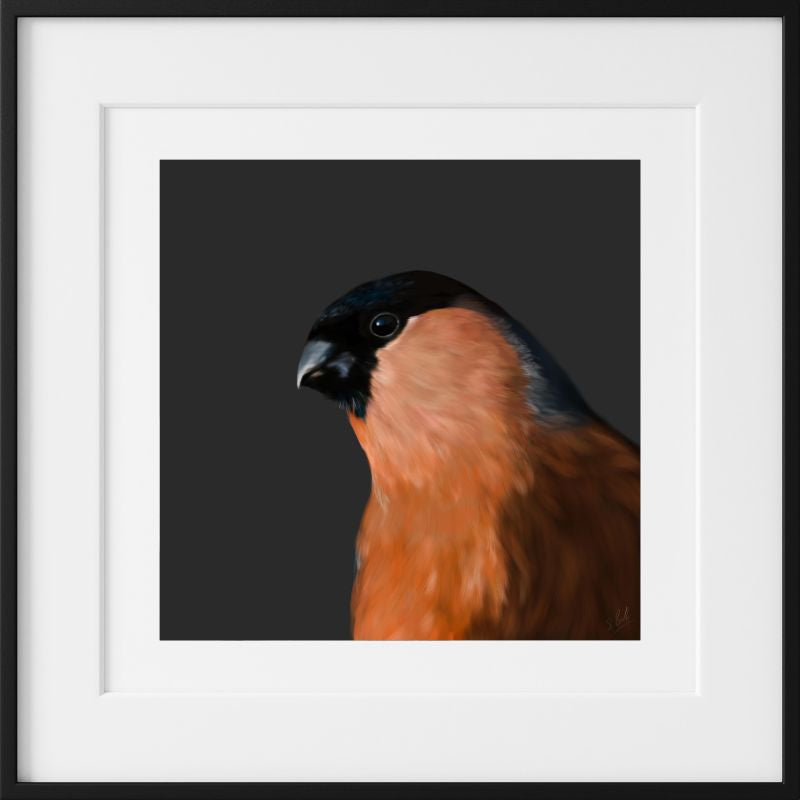 Mr Bullfinch - Downloadable Art