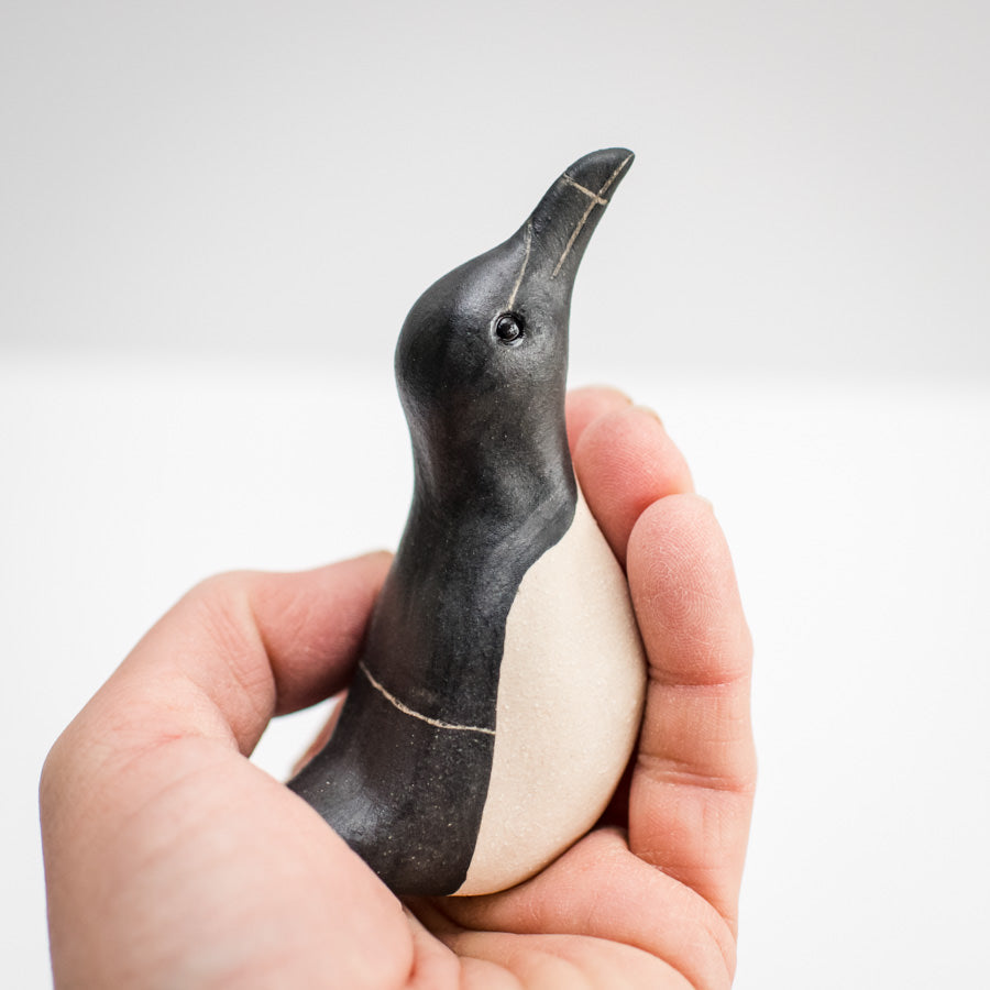Ceramic Razorbill sculpture - sarahbrabbin