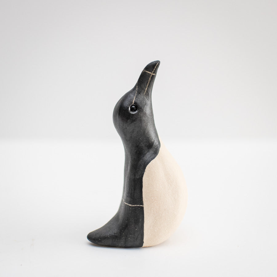 Ceramic Razorbill sculpture - sarahbrabbin