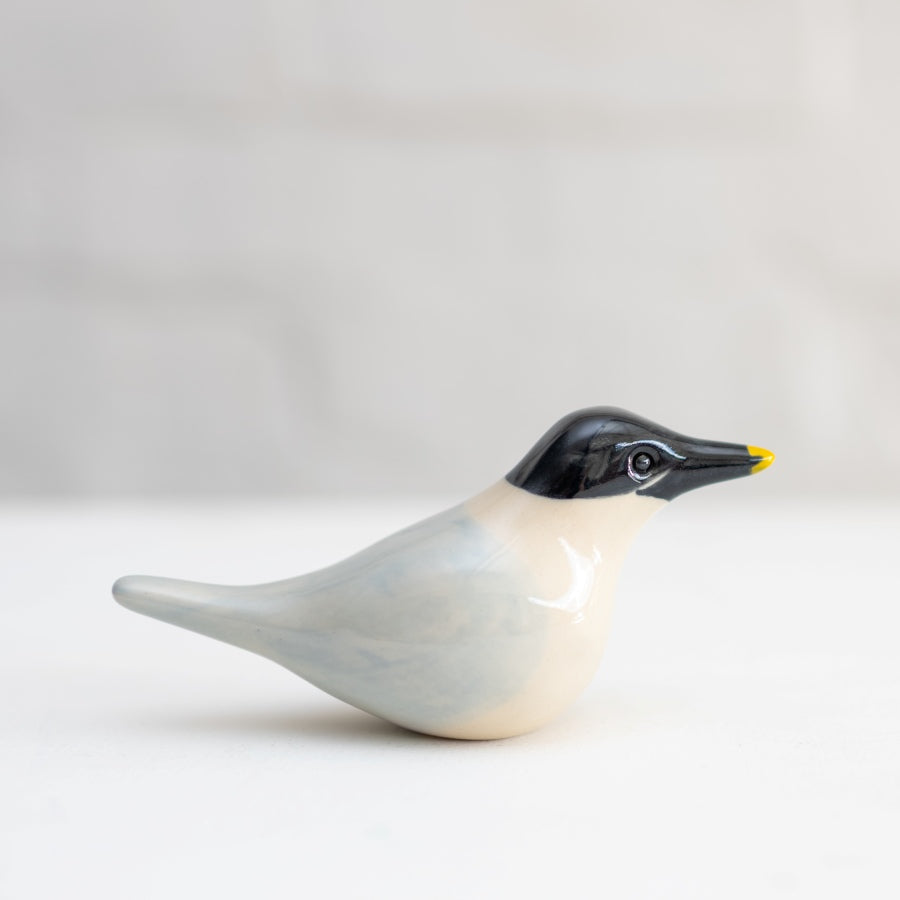 Ceramic Sandwich Tern