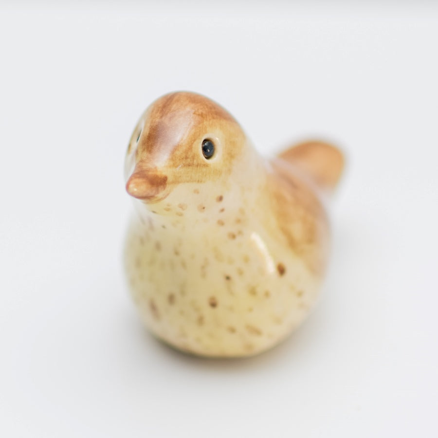 Small Ceramic Thrush Sculpture - sarahbrabbin