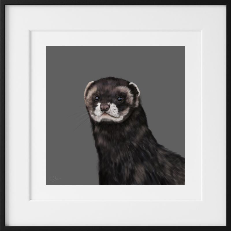 Polecat - Downloadable Art