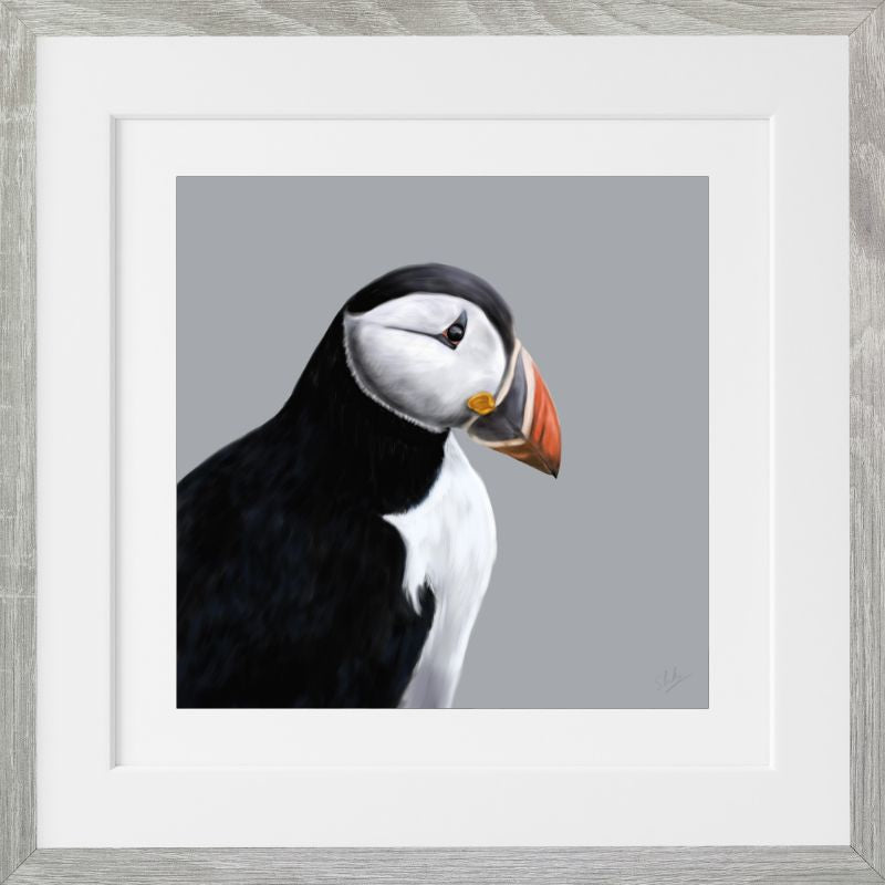 Puffin - Downloadable Art