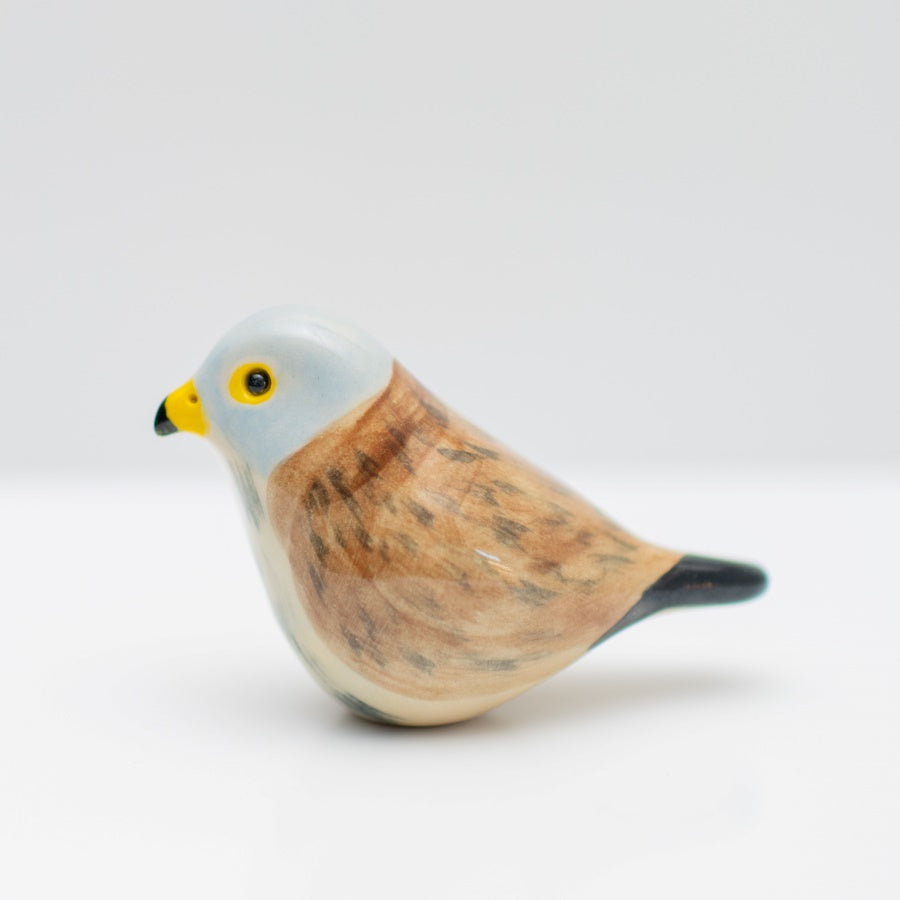 Small Ceramic Kestrel Sculpture - sarahbrabbin