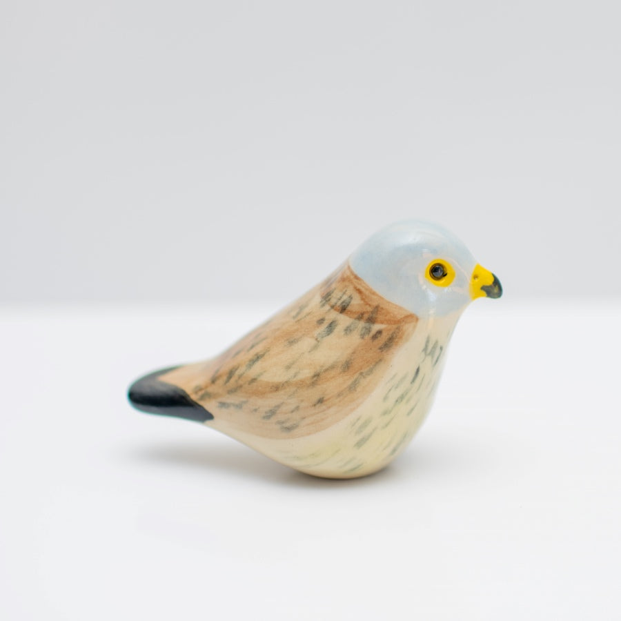 Small Ceramic Kestrel Sculpture - sarahbrabbin