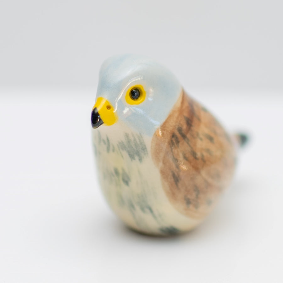 Small Ceramic Kestrel Sculpture - sarahbrabbin