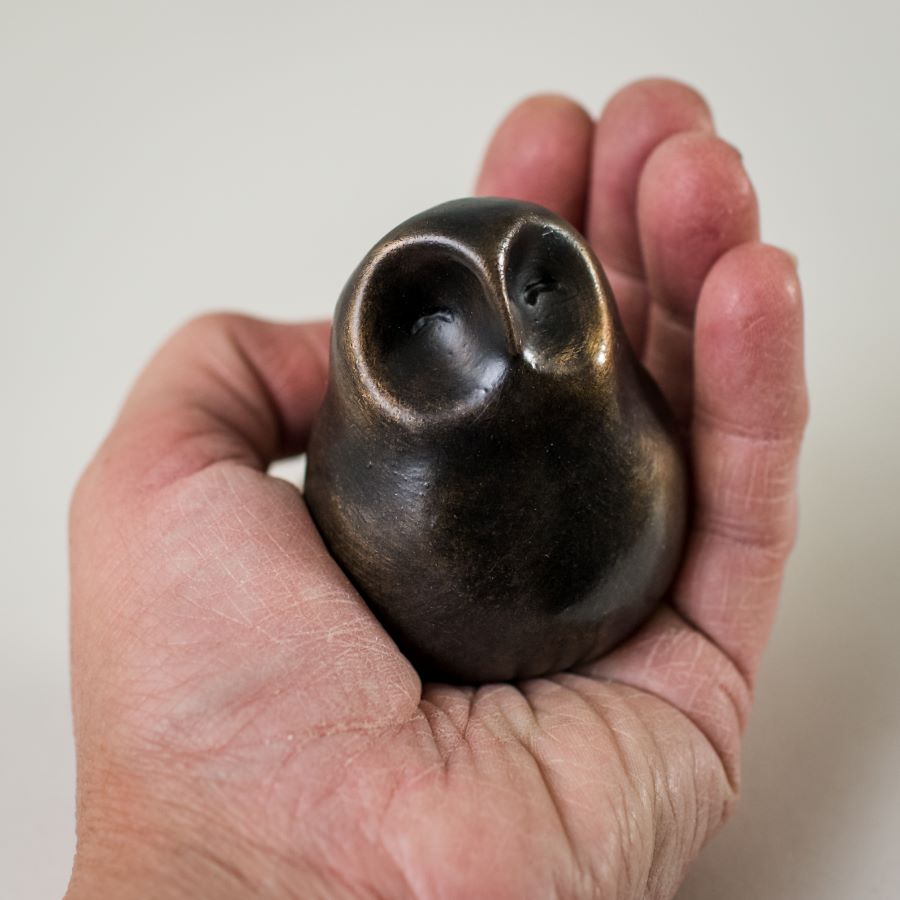 Bronze black owl statue - sarahbrabbin