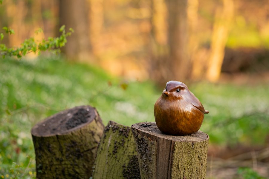 Large Bronze Robin Sculpture - sarahbrabbin