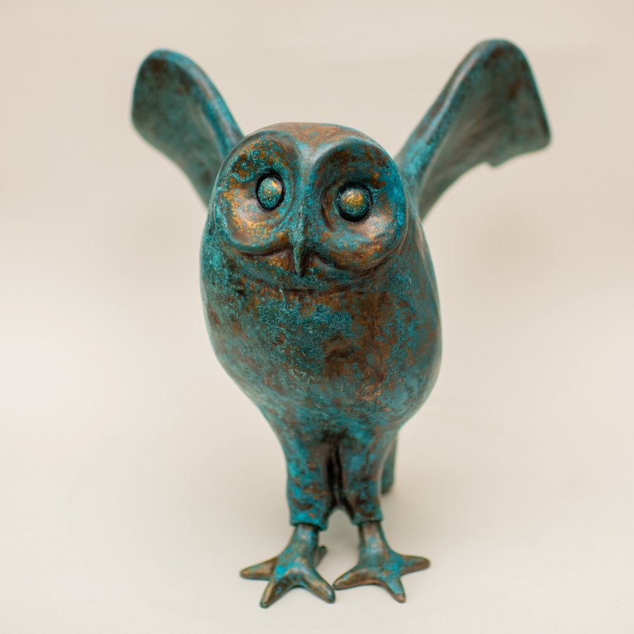 Large Bronze Owl Sculpture - sarahbrabbin