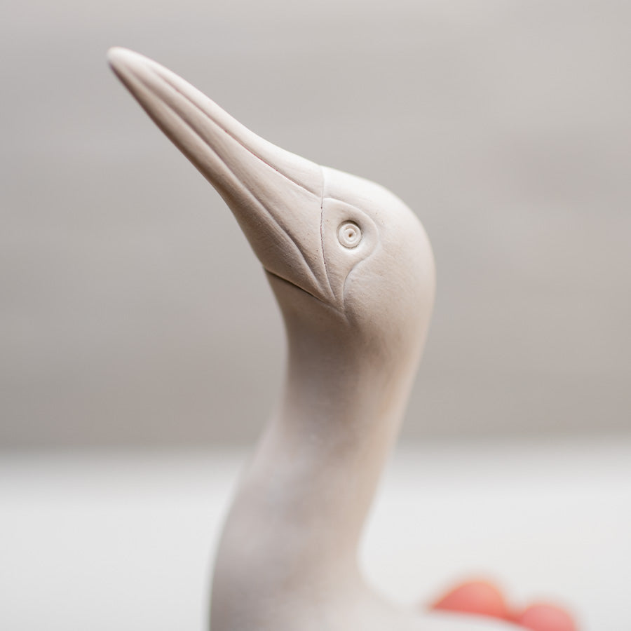 Medium Ceramic Gannet Sculpture - sarahbrabbin