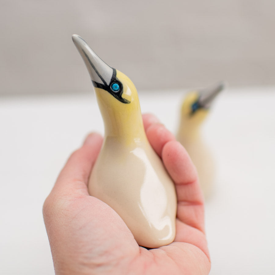 Ceramic Gannet Lovers Gift Set - sarahbrabbin