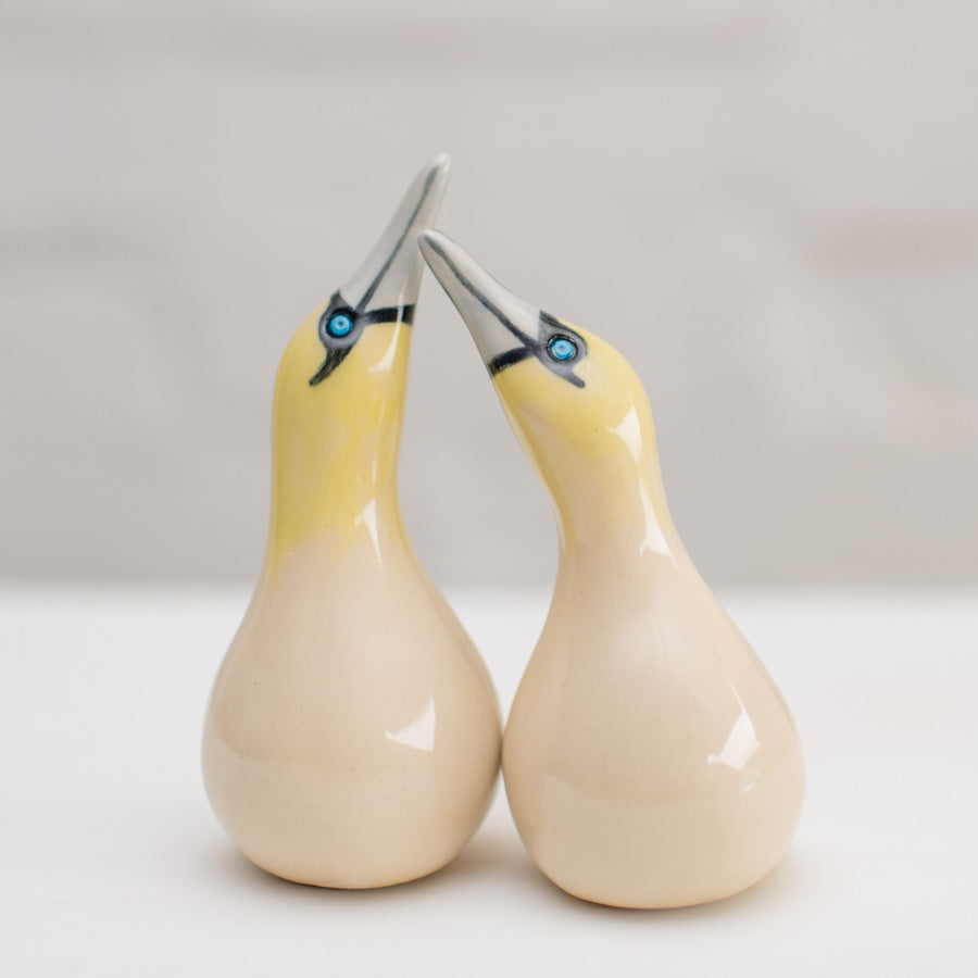 Ceramic Gannet Lovers Gift Set - sarahbrabbin
