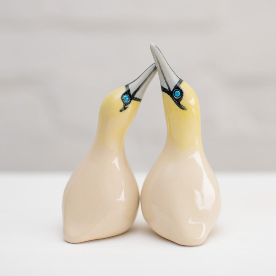 Ceramic Gannet Lovers Gift Set - sarahbrabbin