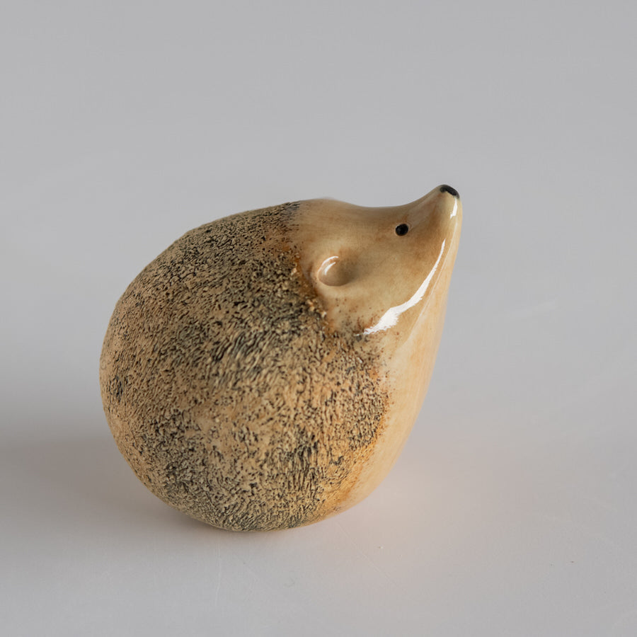 Ceramic Hedgehog Sculpture - sarahbrabbin
