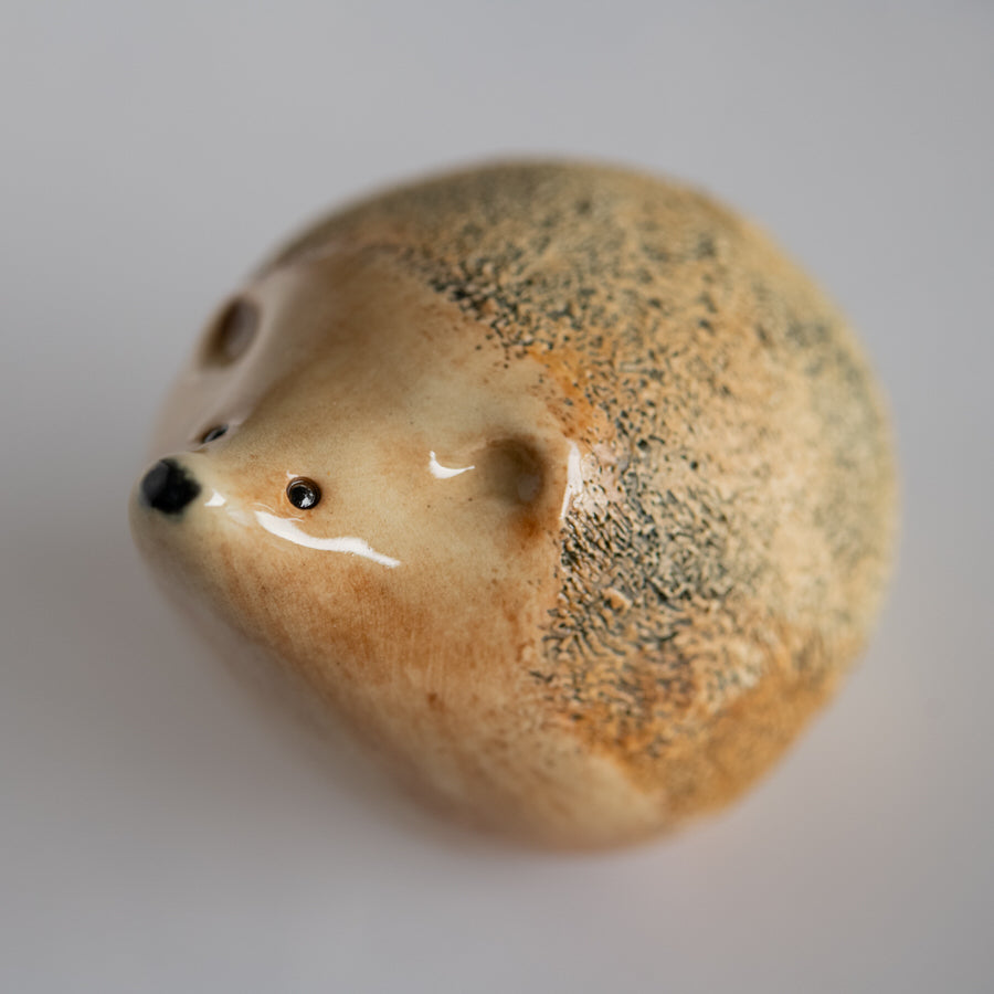 Ceramic Hedgehog Sculpture - sarahbrabbin