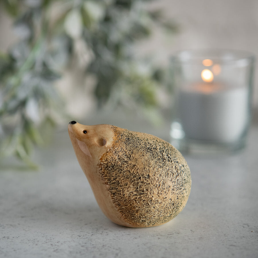 Ceramic Hedgehog Sculpture - sarahbrabbin
