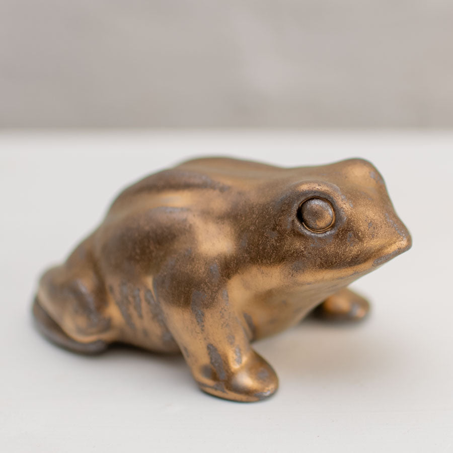 Medium Ceramic Toad Sculpture - sarahbrabbin