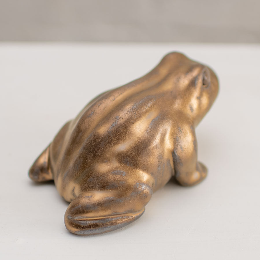 Medium Ceramic Toad Sculpture - sarahbrabbin