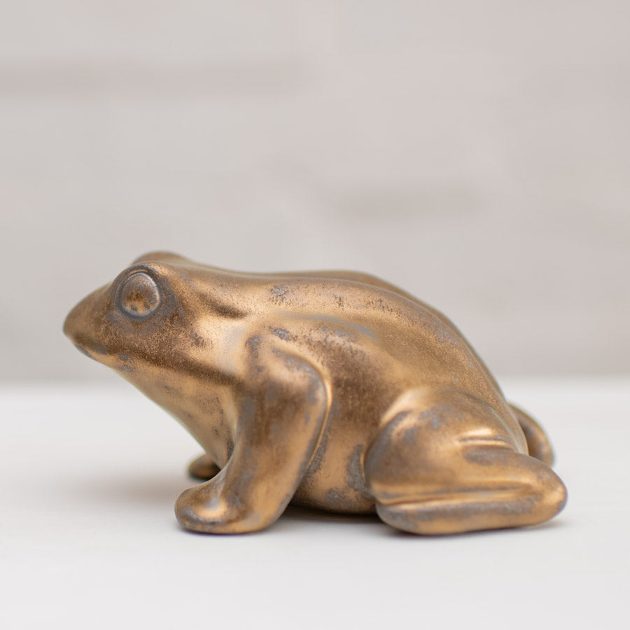 Medium Ceramic Toad Sculpture - sarahbrabbin