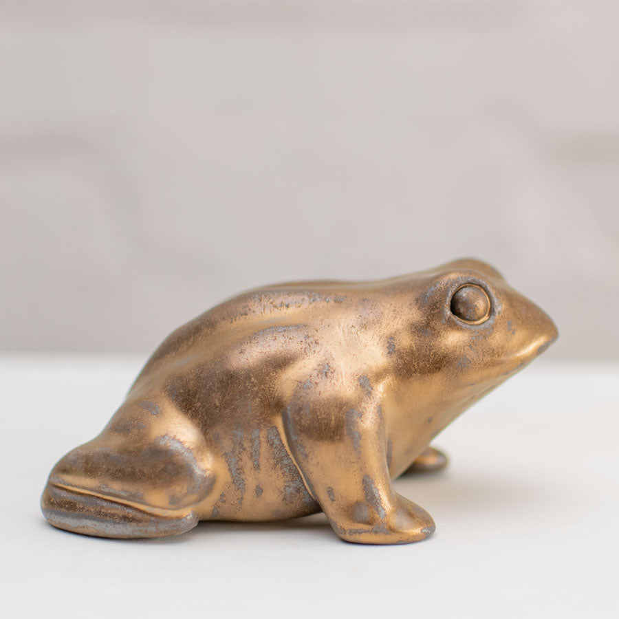 Medium Ceramic Toad Sculpture - sarahbrabbin