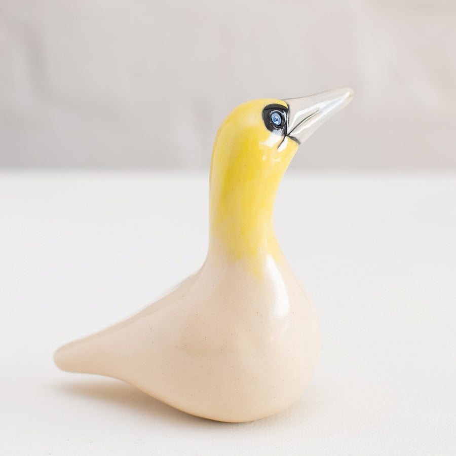 Ceramic Gannet