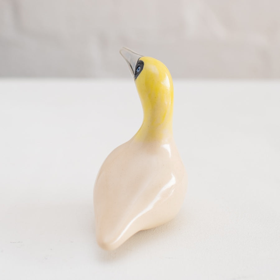 Ceramic Gannet