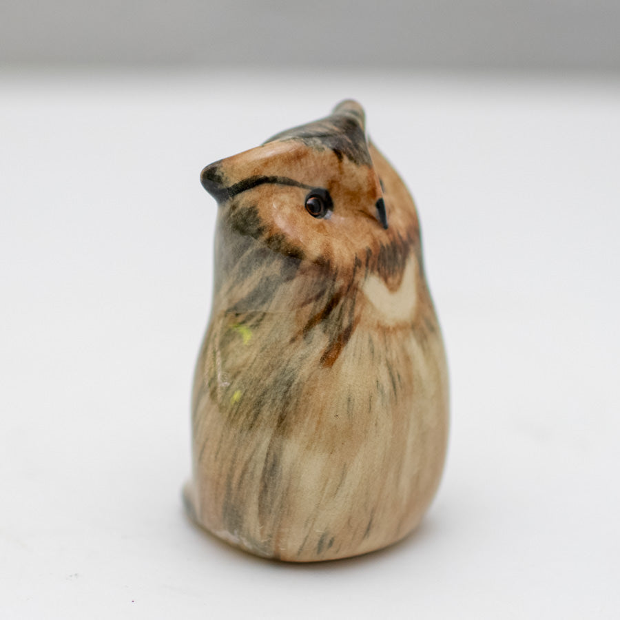 Ceramic Eagle Owl - sarahbrabbin