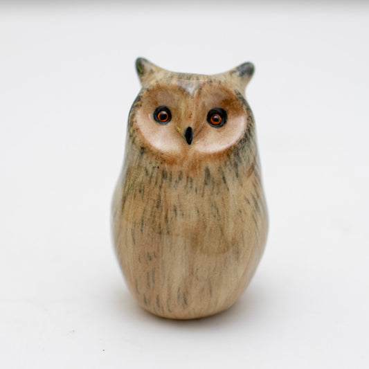 Ceramic Long Eared Owl - sarahbrabbin