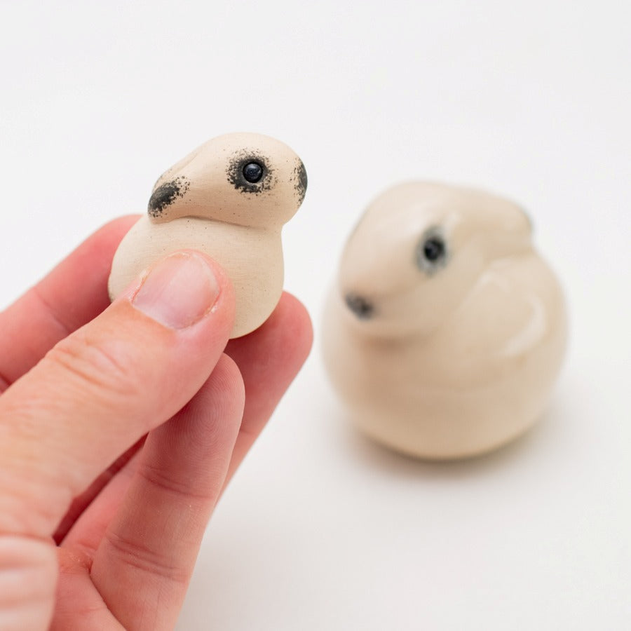 Mountain Hare Gift Set