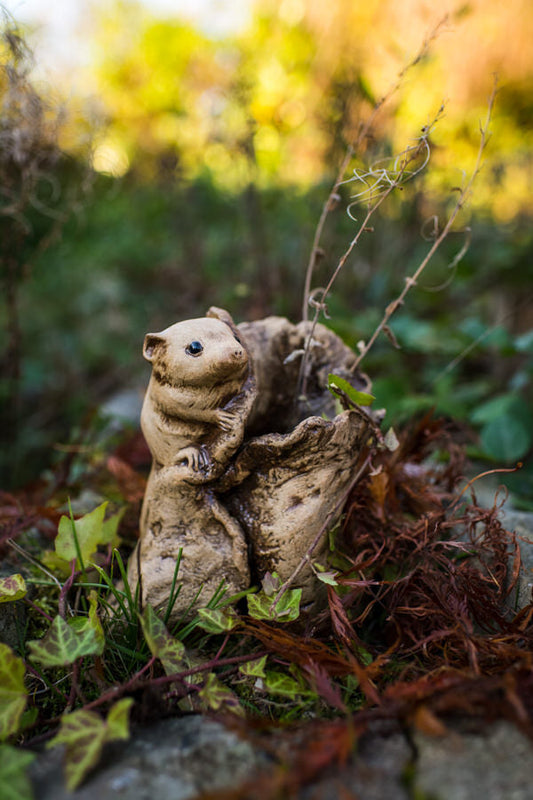 Dormouse Fundraiser for the PTES