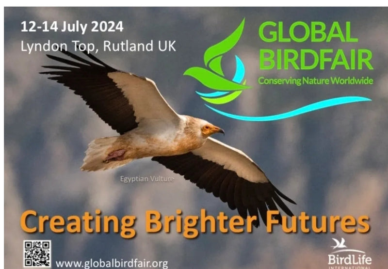 Come see me at Global BirdFair 2024