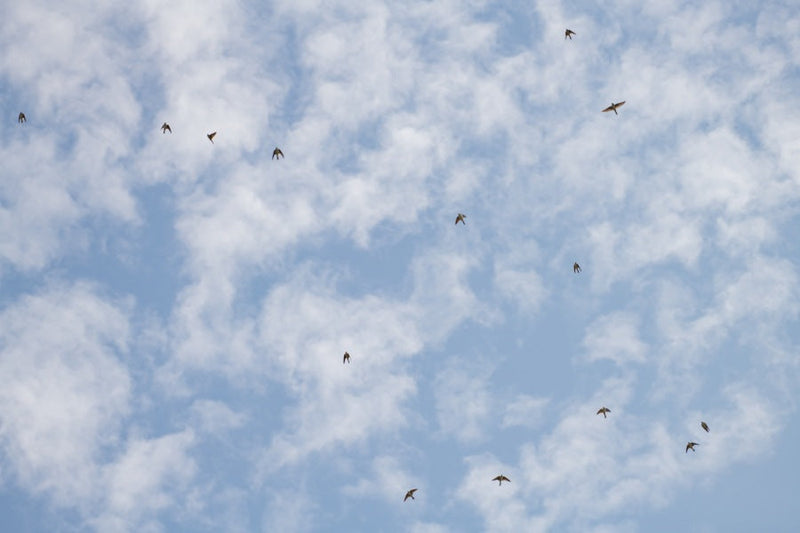 Knock me down with a feather