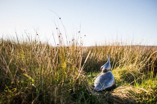 Sheffield & Rotherham Wildlife Trust