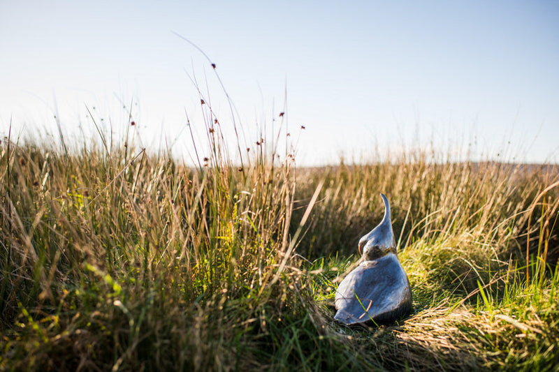 Sheffield & Rotherham Wildlife Trust
