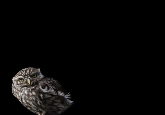 Rushing around? You don’t know what you’re missing