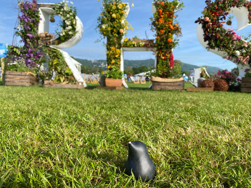 RHS Malvern, and everything else