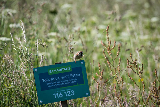 The beauty in the perceived mundane