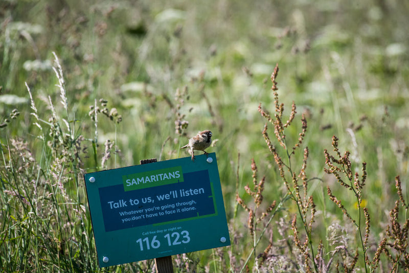 The beauty in the perceived mundane