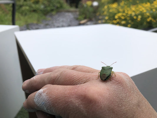 A reminder to reconnect