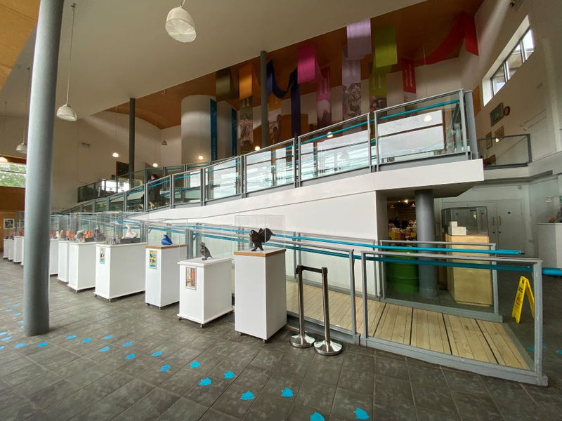 WWT Slimbridge Art exhibition space with my work on plinths