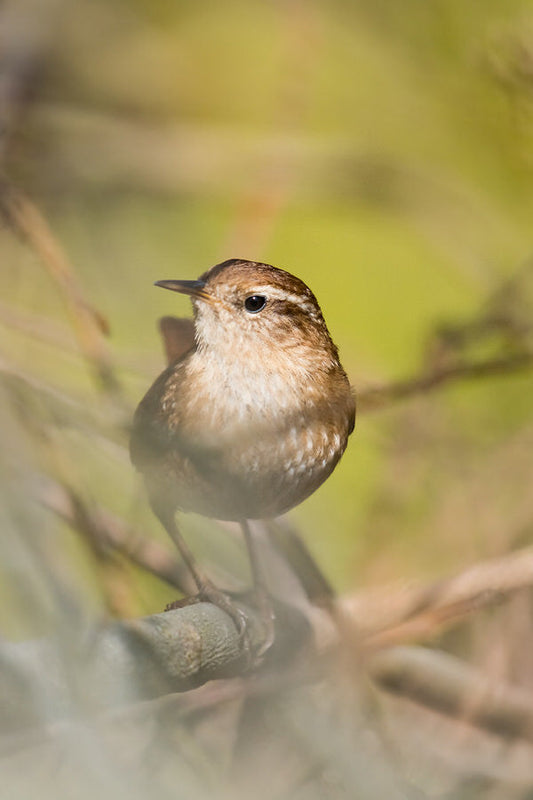 Sometimes it’s the smallest of things that make the biggest impact.