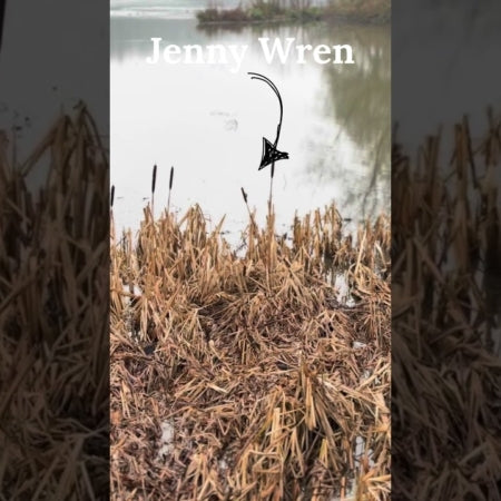 February Nature Walk