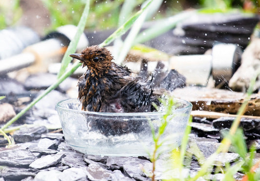 I’ll name that tune in one