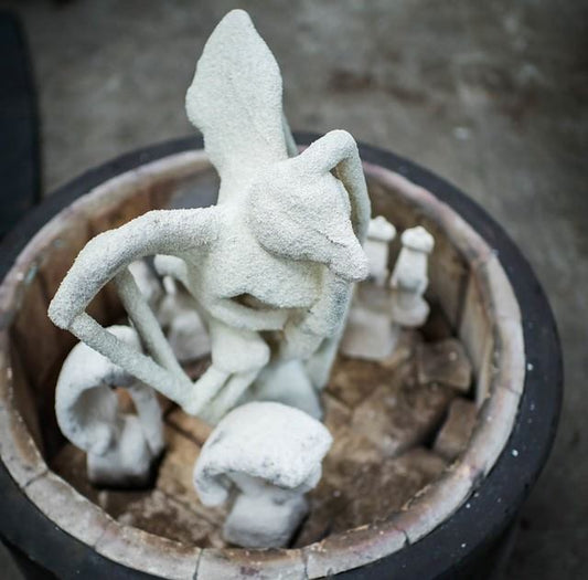 Flippy Flappy lost his wax