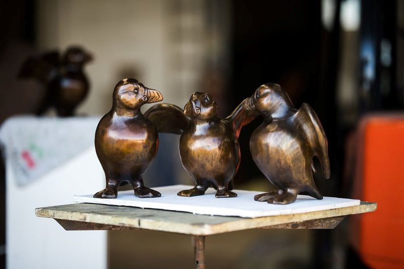 An improbability of Bronze Puffins