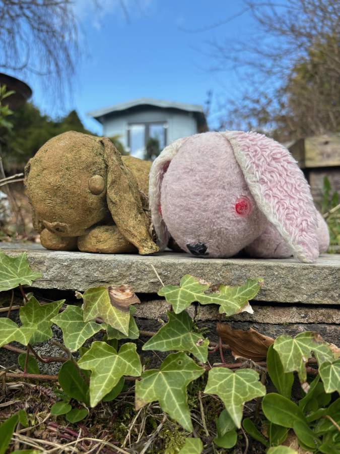 Bunnies are for life, not just for Easter