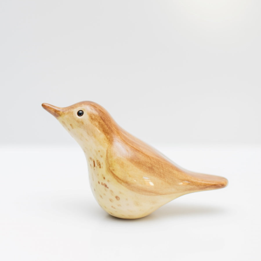 Thrush Sculpture